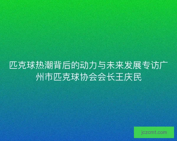 匹克球热潮背后的动力与未来发展专访广州市匹克球协会会长王庆民
